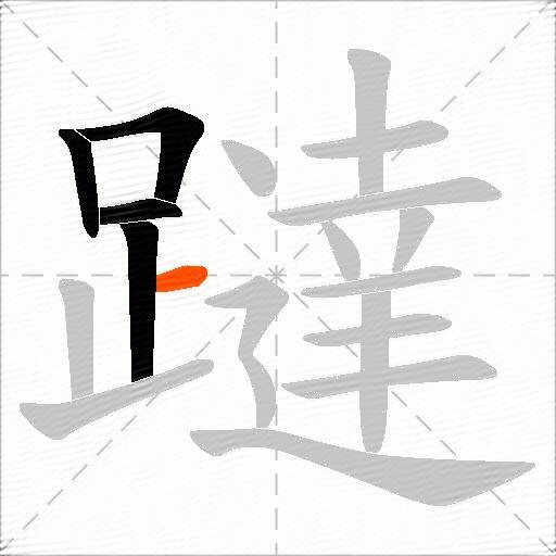 躂