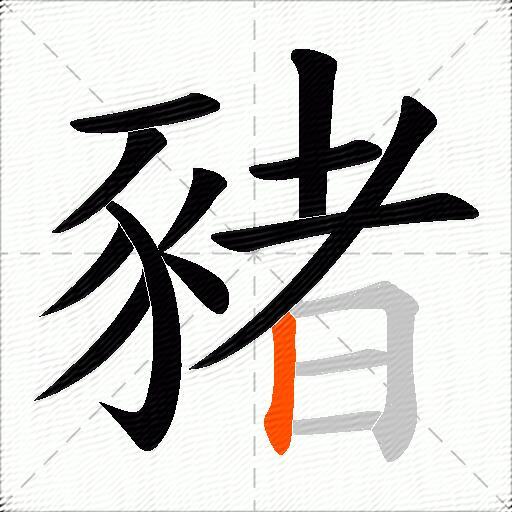 豬