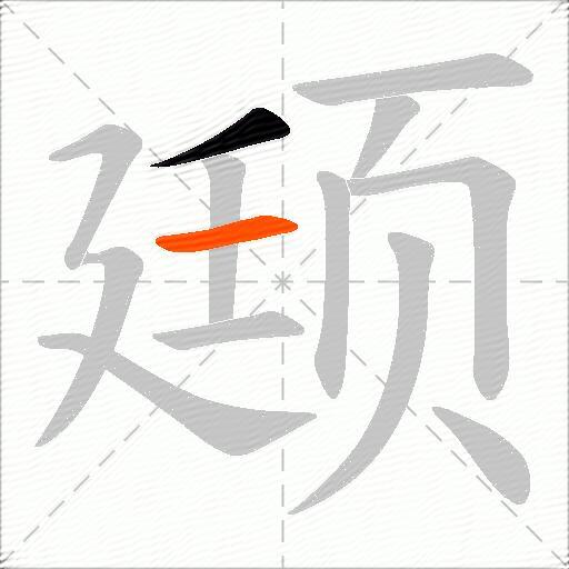 颋