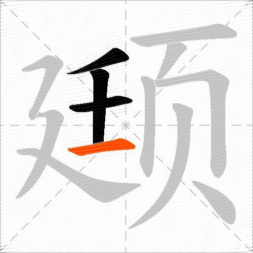 颋