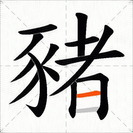 豬