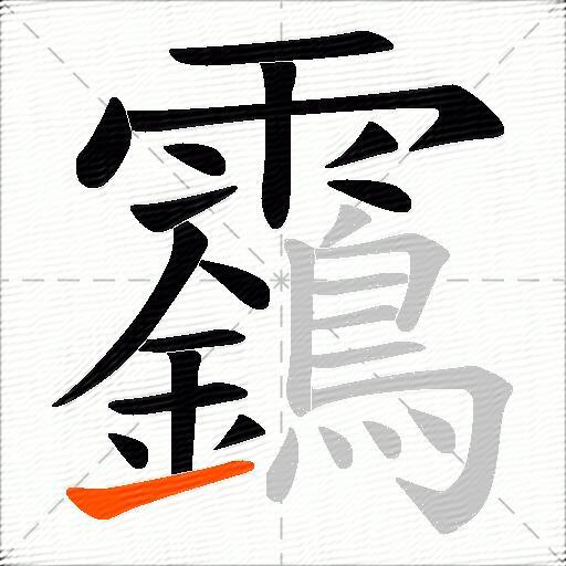 靎