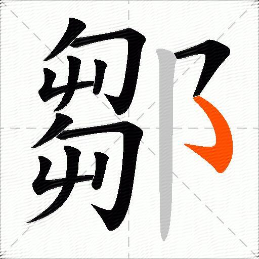 鄒