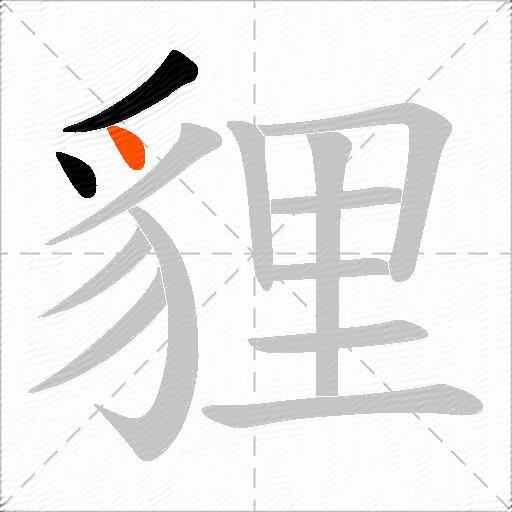 貍