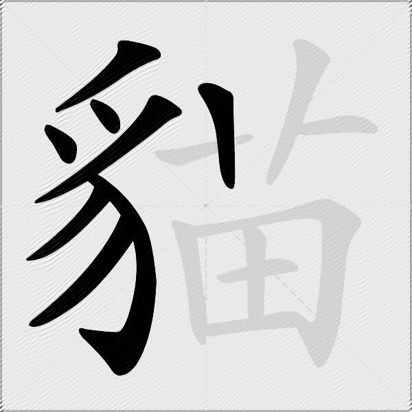 貓
