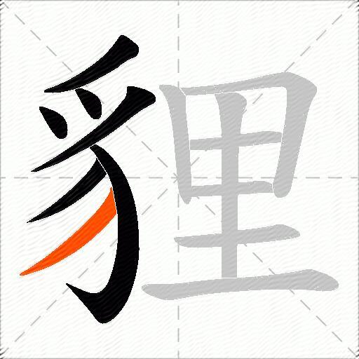貍