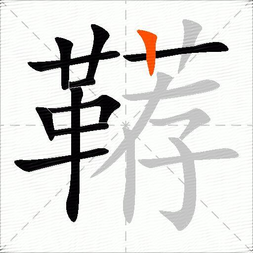鞯