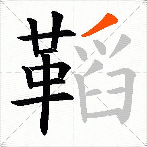 鞱