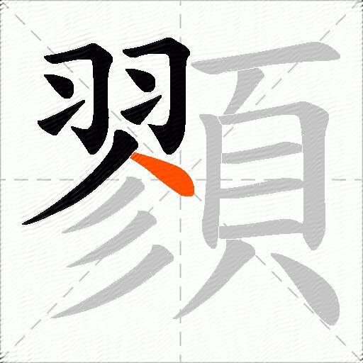 顟