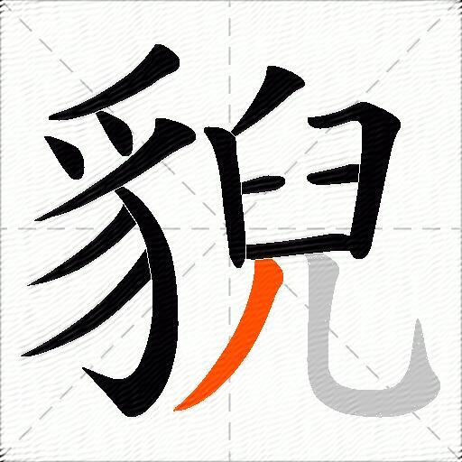 貎