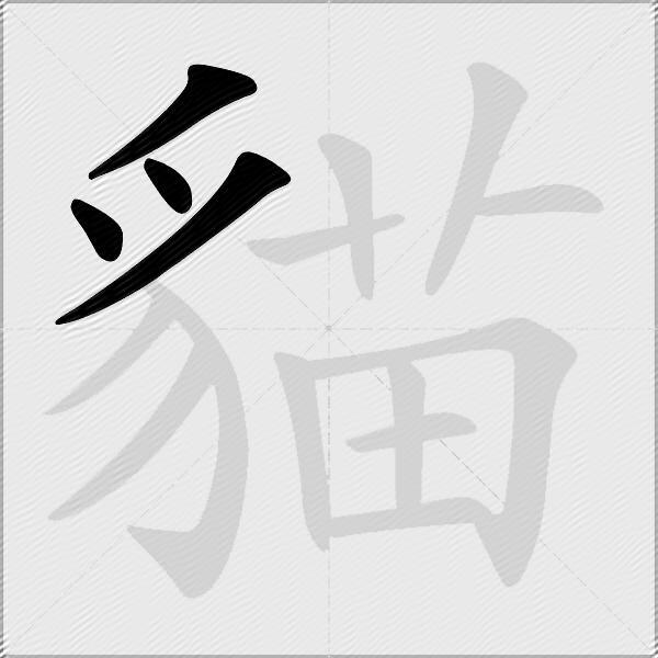 貓