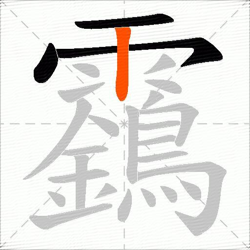 靎