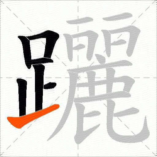 躧