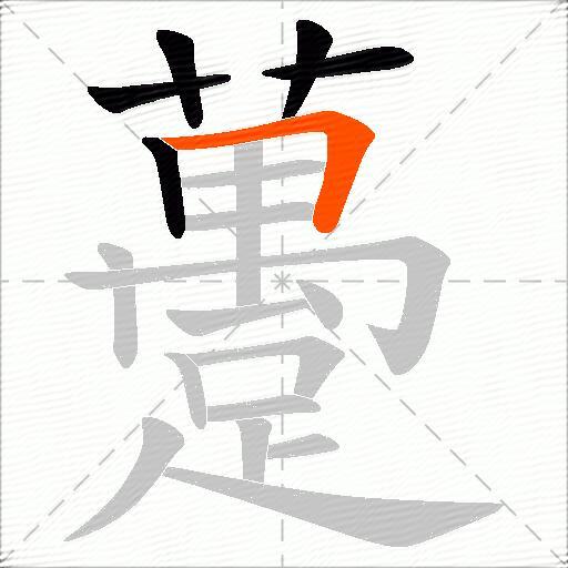 躉