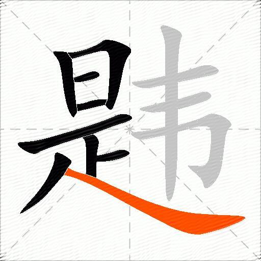 韪