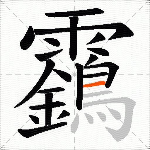 靎