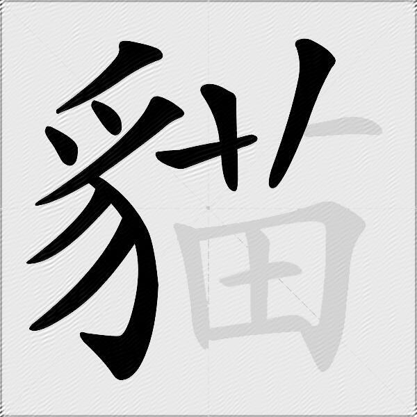 貓