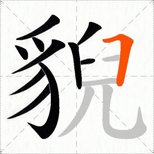 貎