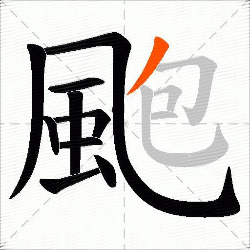 颮