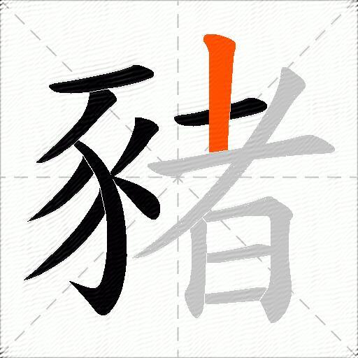 豬