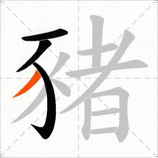 豬