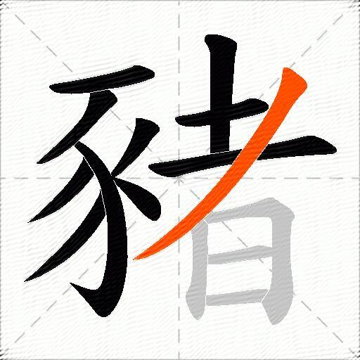 豬