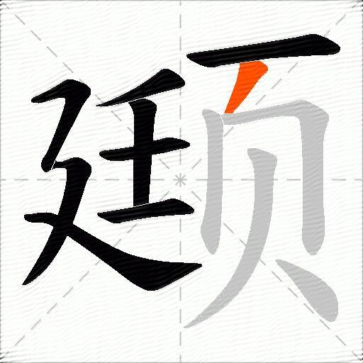 颋