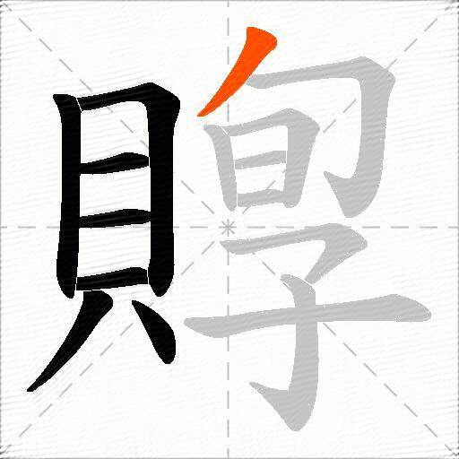 賯