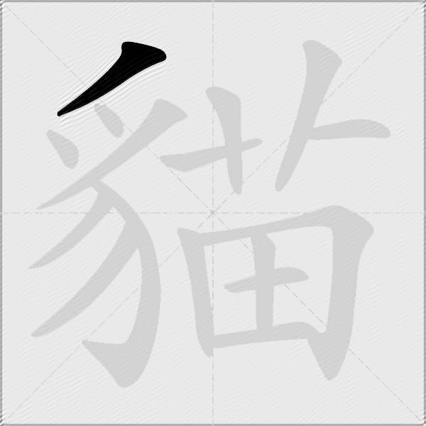 貓