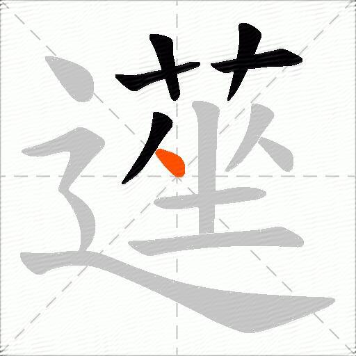 遳