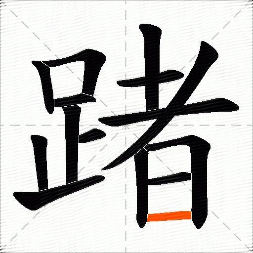 踷