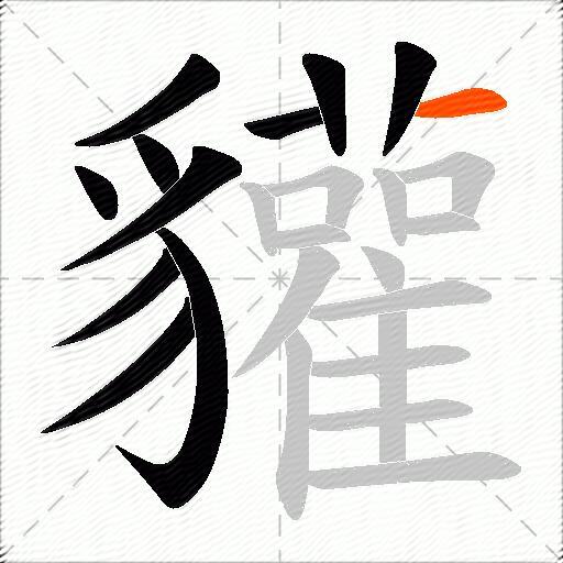 貛