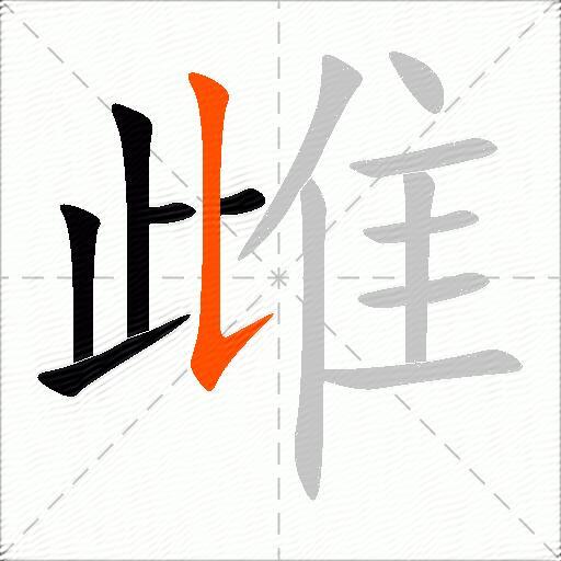 雌