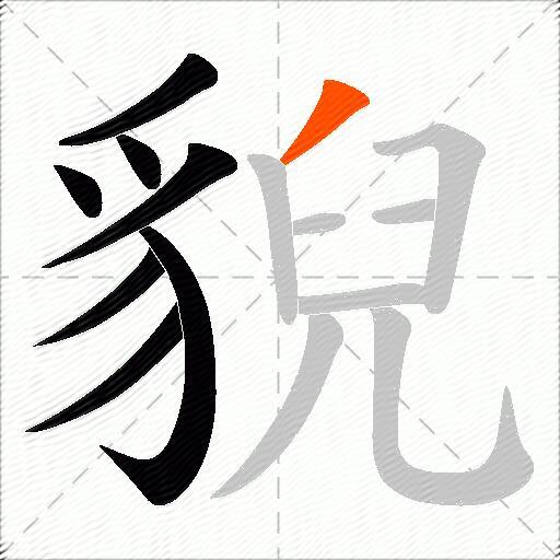 貎