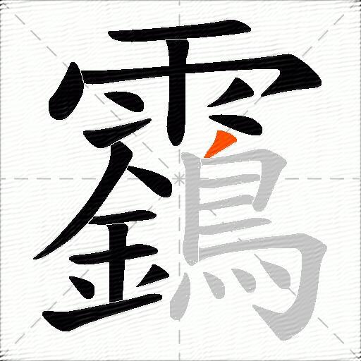 靎