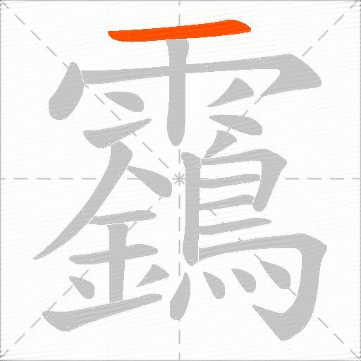 靎