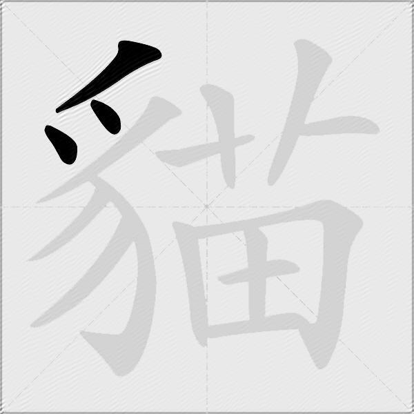 貓