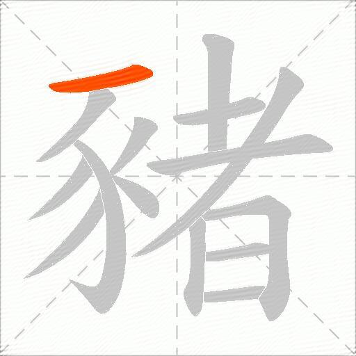 豬