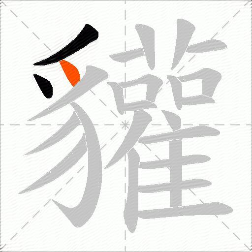貛