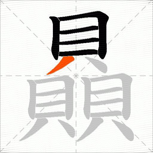 贔