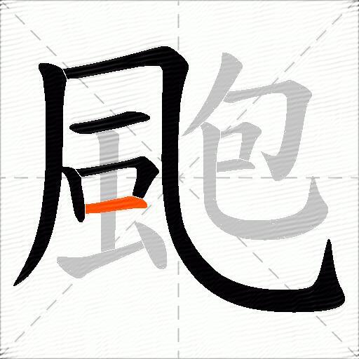 颮