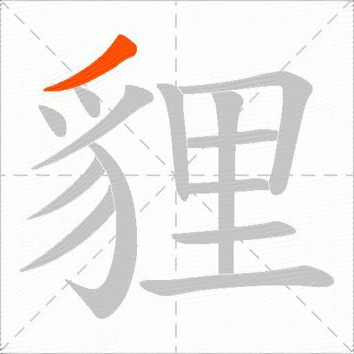 貍