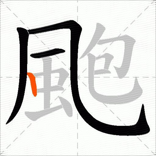 颮