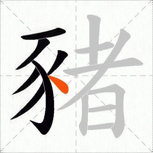 豬