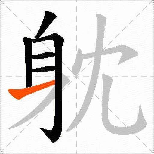躭
