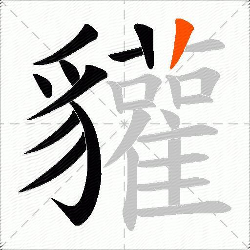 貛