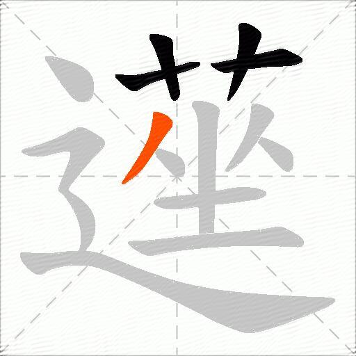 遳