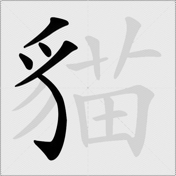 貓