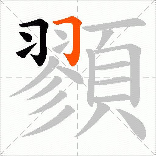 顟