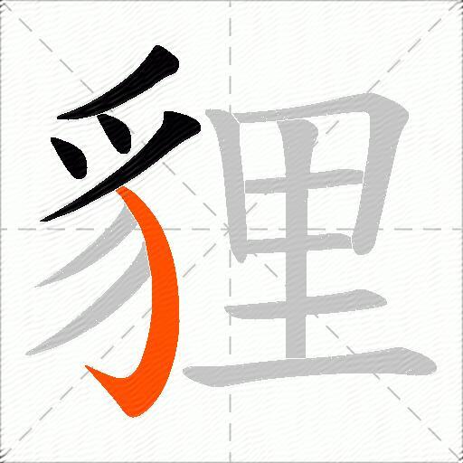 貍